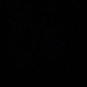 Meet your Posher, Raven